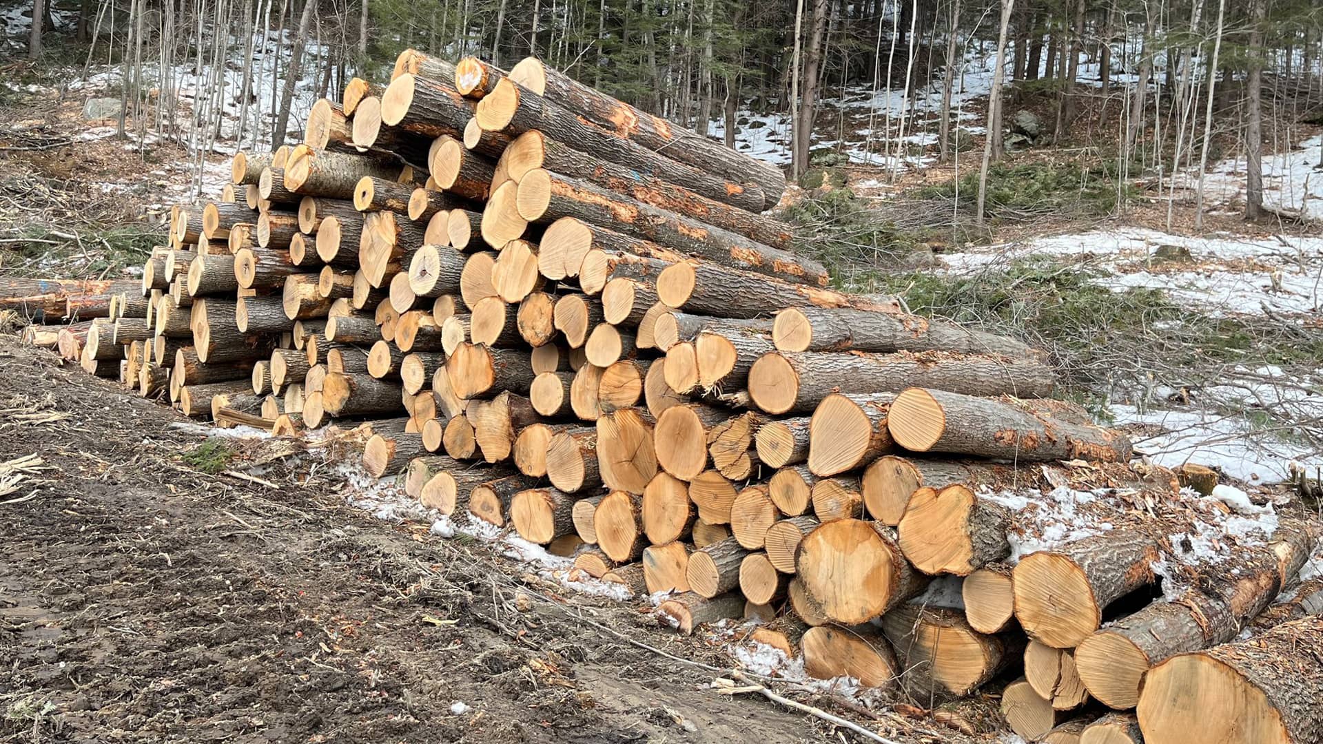 Stillwater Forestry LLC Banner 2