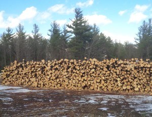 Not All Piles of Wood Are the Same