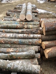 New Hampshire and Vermont Timber Prices - Winter 2020
