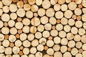 Timber Pricing in New Hampshire for 2016 Thumbnail