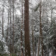 Forest-Thinning-in-Claremont-NH 1