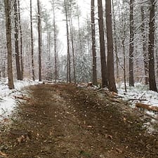 Forest-Thinning-in-Claremont-NH 2
