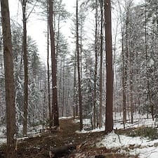 Forest-Thinning-in-Claremont-NH 3