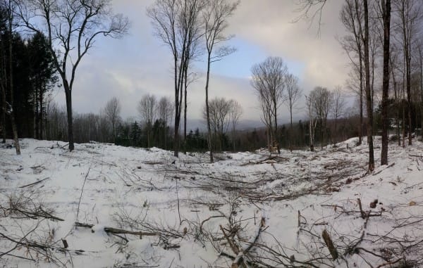 Pasture Cleaning in Bethel, VT