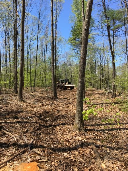 Why Land Acquisition for Timber in St. Johnsbury VT Requires a Soil and Access Assessment Before You Buy Thumbnail