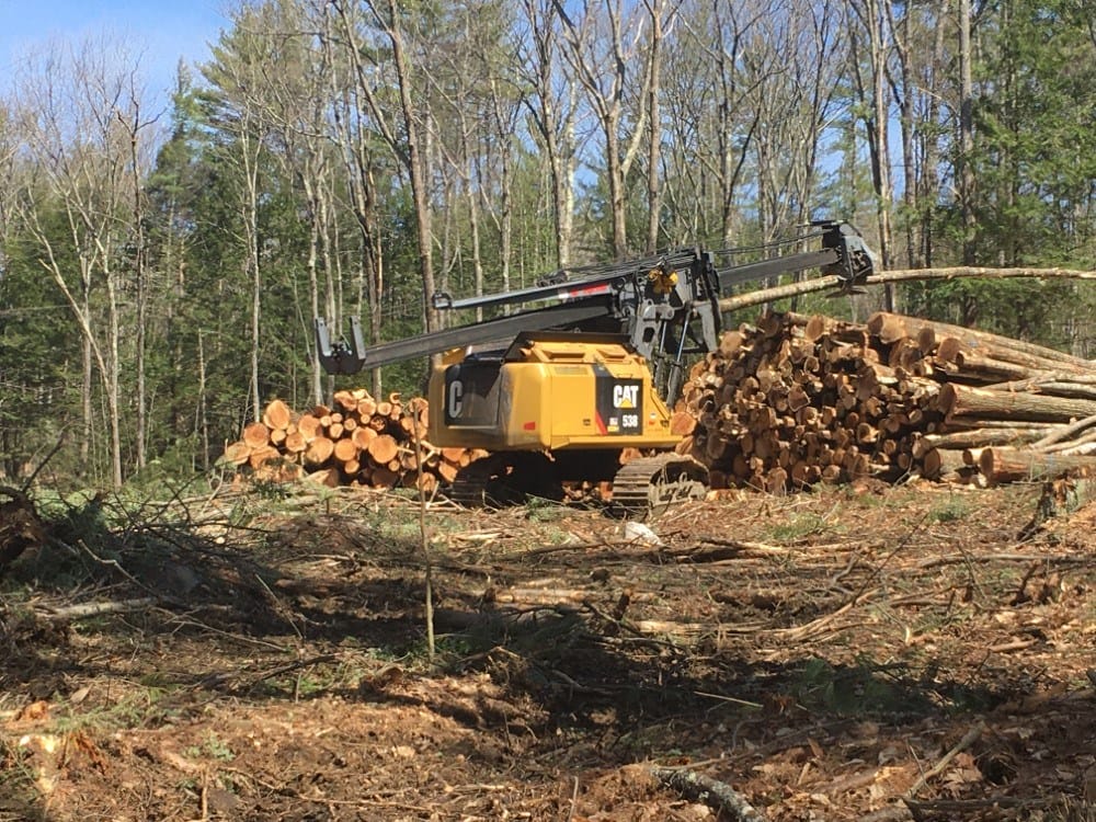 Timber Harvesting in Swanzey, NH