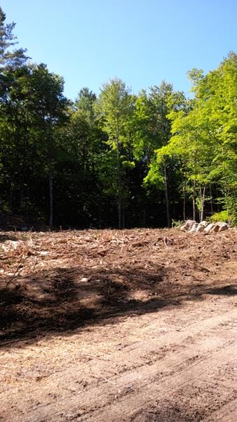 Timber Harvesting in Unity, NH