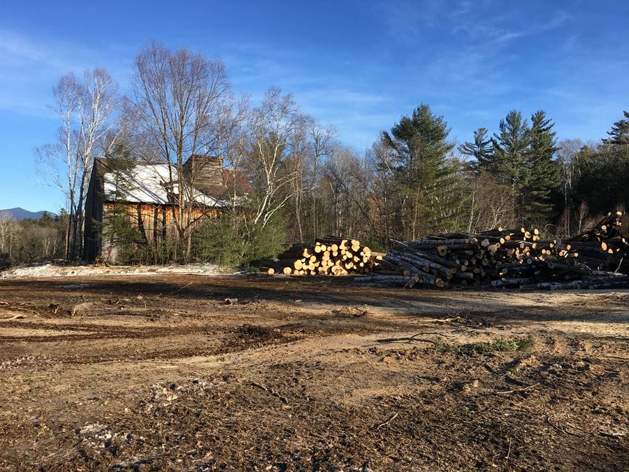 Timber Sale & Select Thinning in Campton, NH