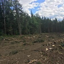 Wildlife-Habitat-Improvement-in-Stewartstown-NH 0