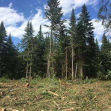 Wildlife-Habitat-Improvement-in-Stewartstown-NH 1