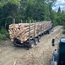 Wildlife-Habitat-Improvement-in-Stewartstown-NH 2