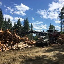 Wildlife-Habitat-Improvement-in-Stewartstown-NH 3