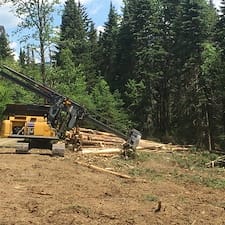 Wildlife-Habitat-Improvement-in-Stewartstown-NH 4