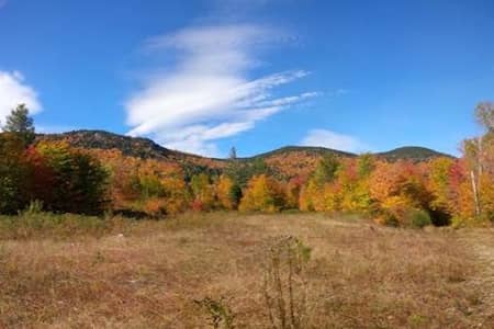 Pasture Clearing for New England Homesteads: Stumps, Soil & Sequencing Thumbnail